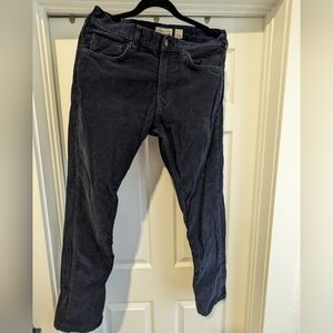 Patagonia corduroy pants, 32x32, navy blue